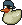 Blue Pirate Duck